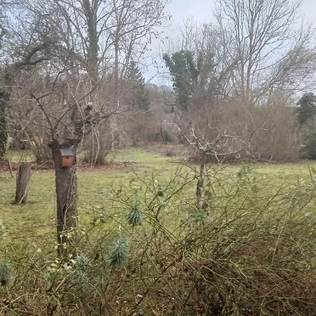 Le Chant Des Roses Maison d'hôtes