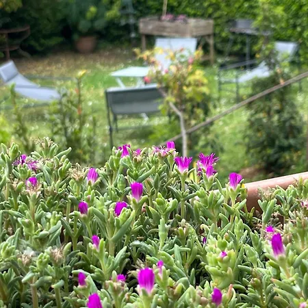 Le Chant Des Roses Guest house Giverny