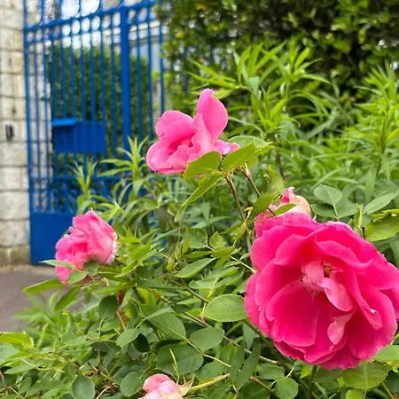 Le Chant Des Roses Guest house