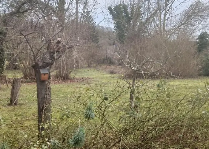 Le Chant Des Roses 招待所