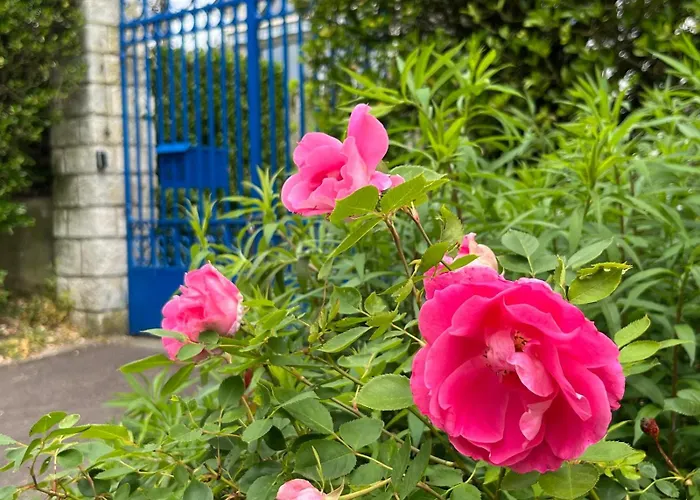 Le Chant Des Roses 招待所